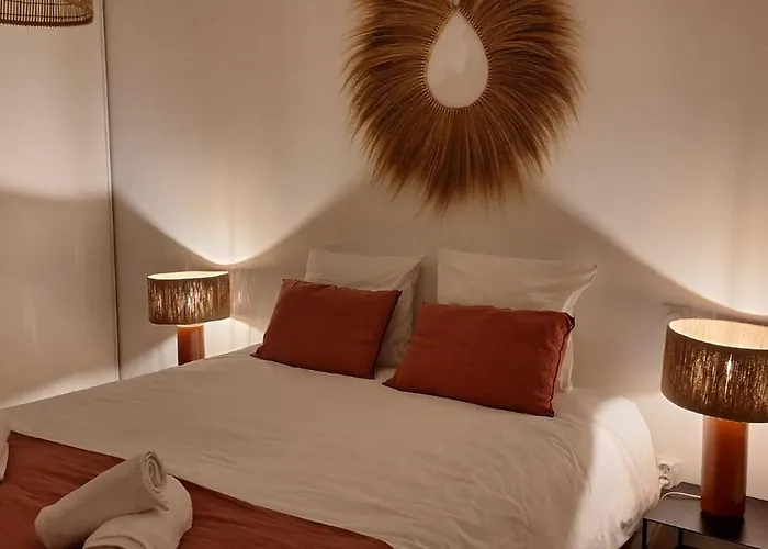 T3 De Charme Et Lumineux アルカション