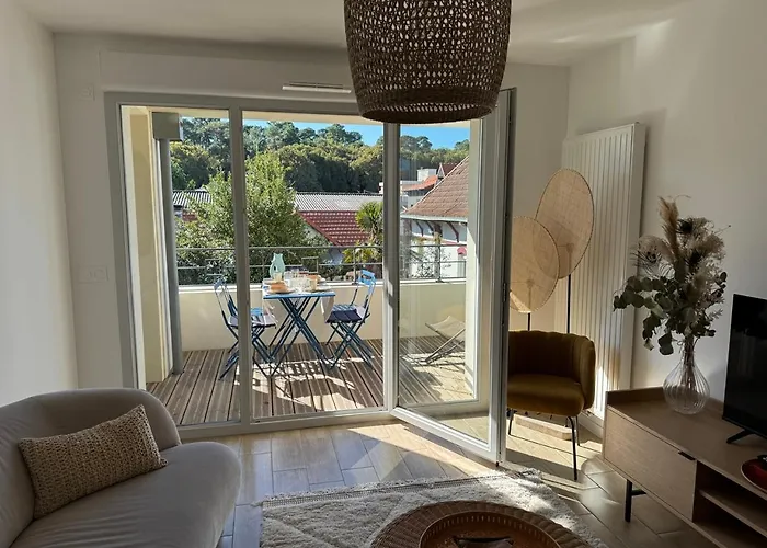 Apartment T3 De Charme Et Lumineux